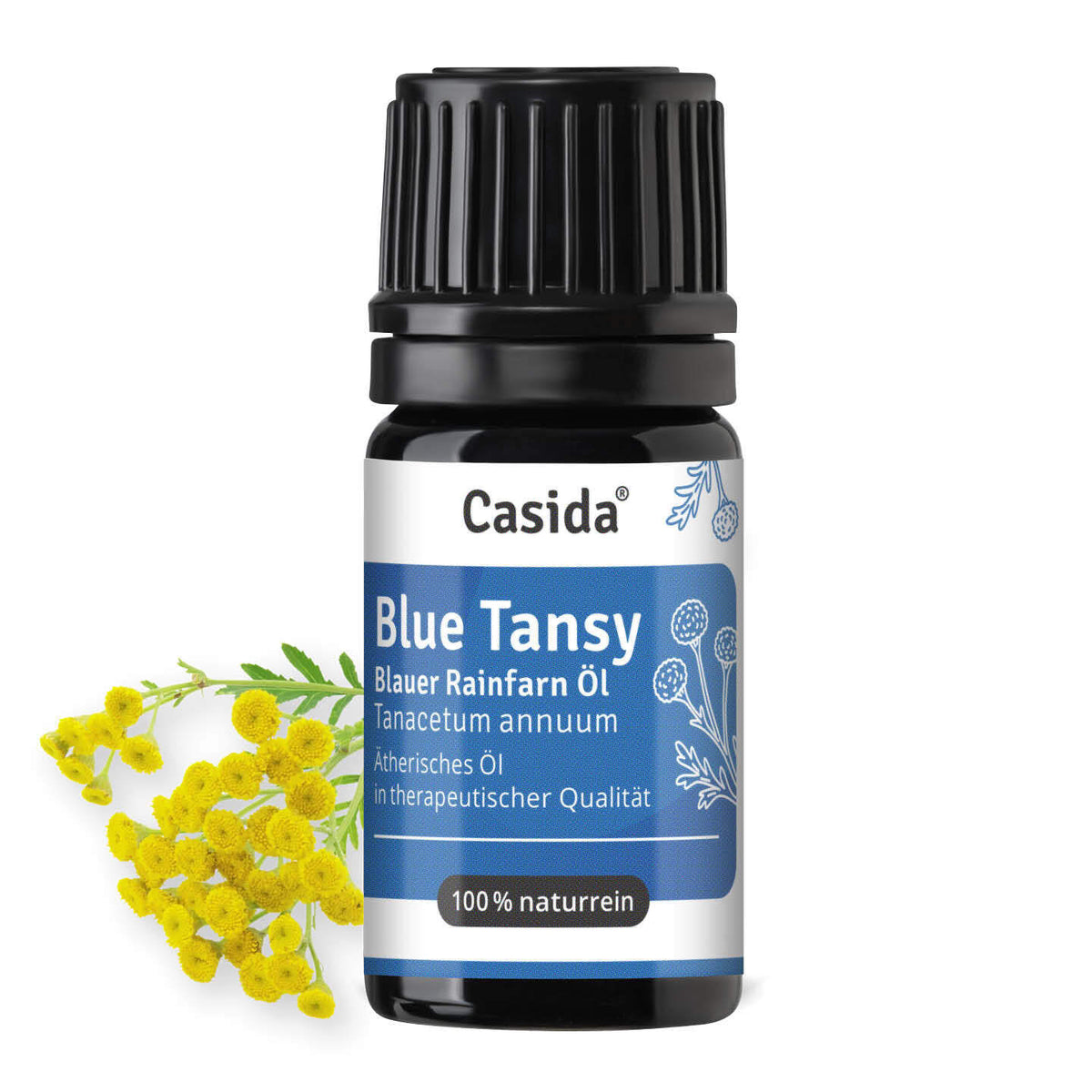 Blue Tansy Blauer Rainfarn Öl