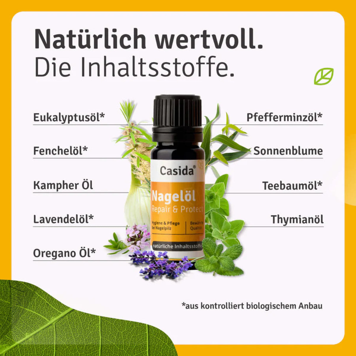 Repair & Protect Fußpflege-Komplettset Nagelöl Repair & Protect Inhalt