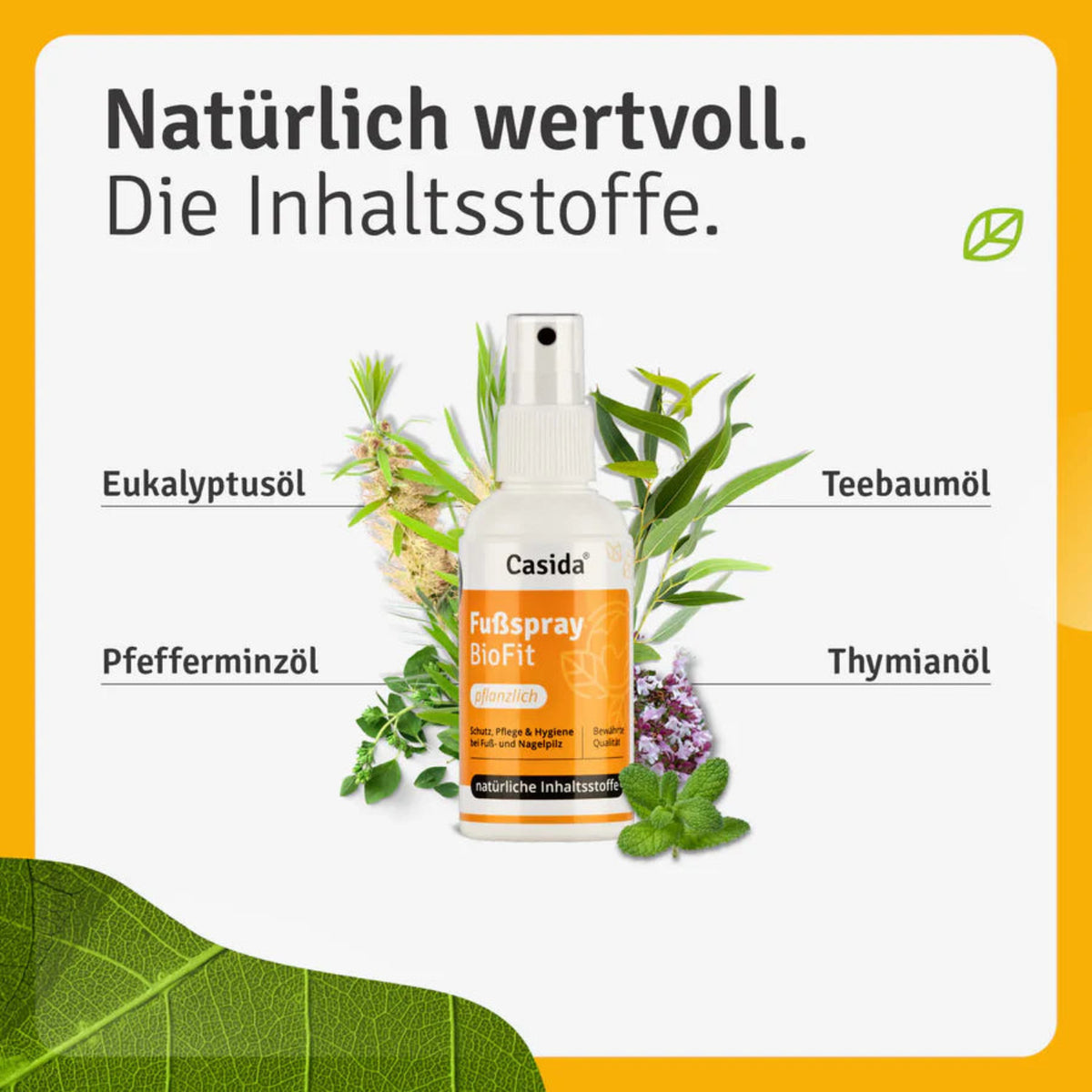 Repair & Protect Fußpflege-Komplettset Fußspray BioFit pflanzlich Inhalt