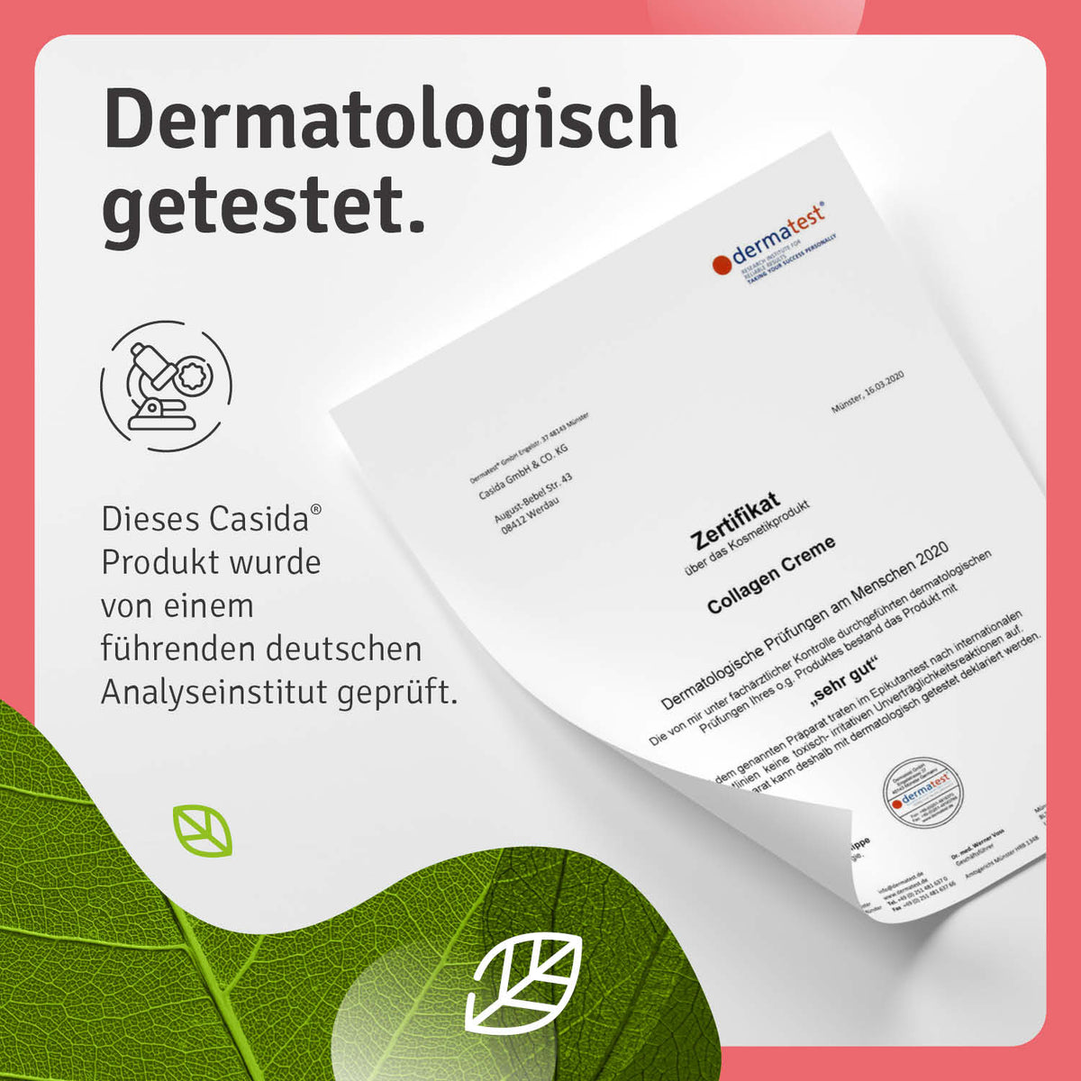 Dermatest Collagen Creme Peptid Filler