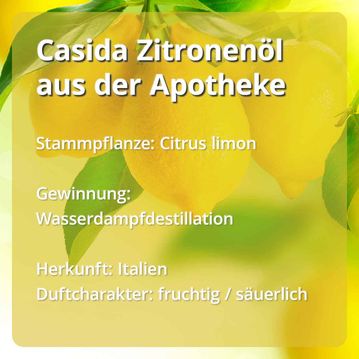 Casida Set Riechtraining Eukalyptus Zitrone Nelke Rosengeranie Anleitung Protokoll