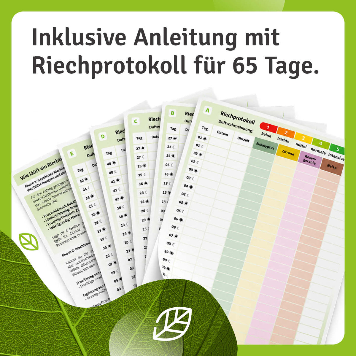 Casida Set Riechtraining Eukalyptus Zitrone Nelke Rosengeranie Anleitung Protokoll tierversuchsfrei