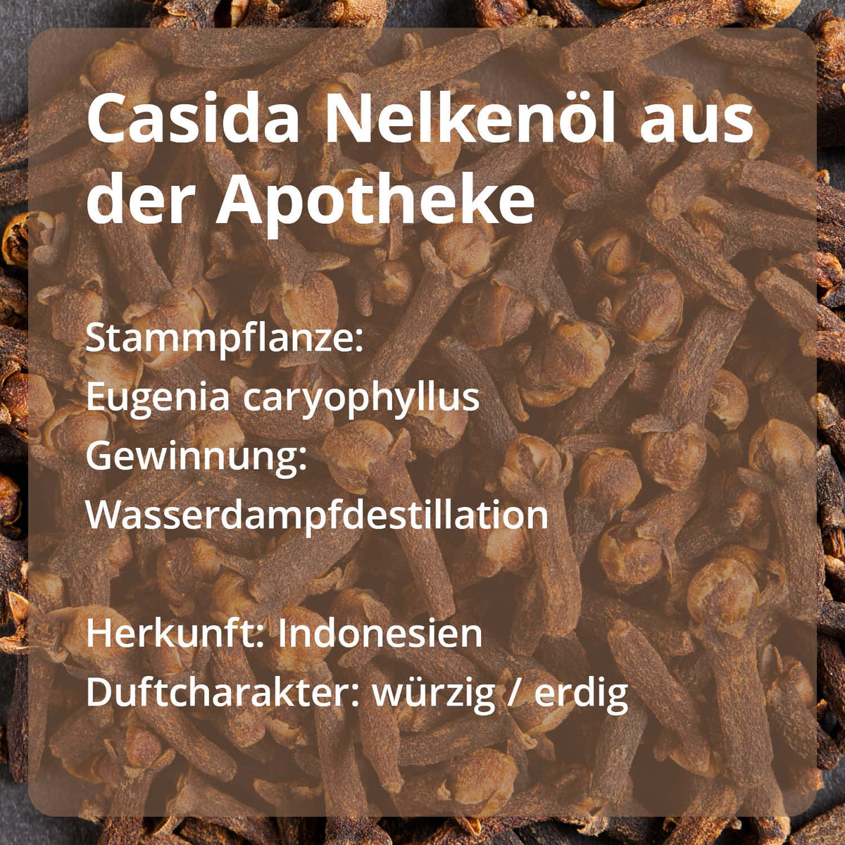 Casida Set Riechtraining Eukalyptus Zitrone Nelke Rosengeranie Anleitung Protokoll