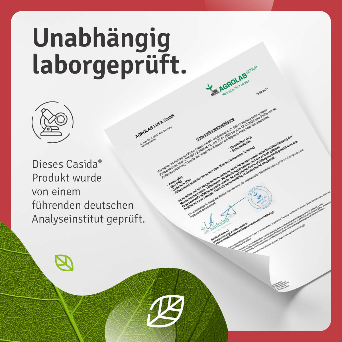 Ashwagandha Kapseln KSM-66® laborgeprüft