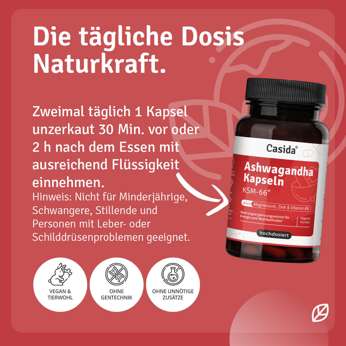 Ashwagandha Kapseln KSM-66® Anwendung