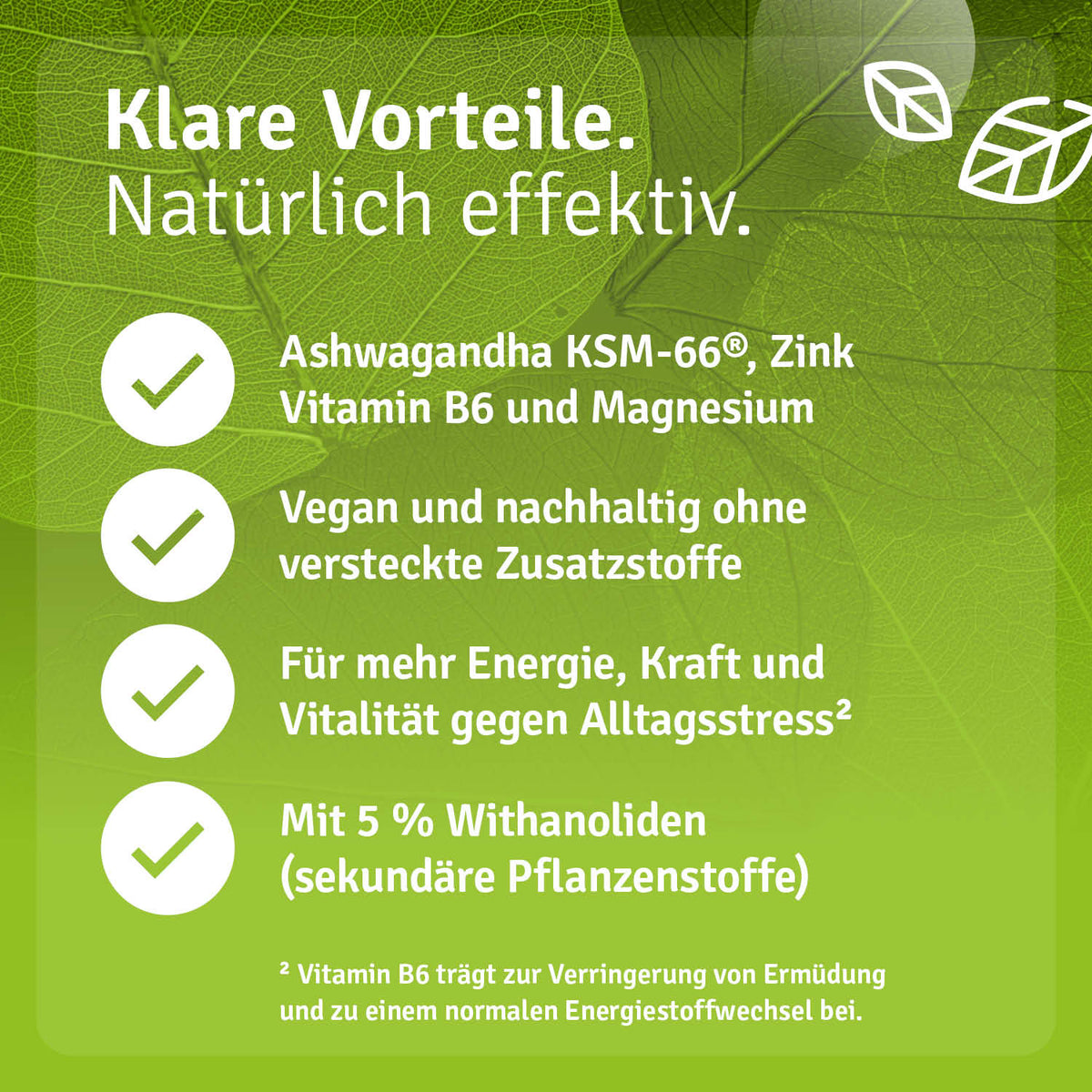 Ashwagandha Kapseln KSM-66® Vorteile