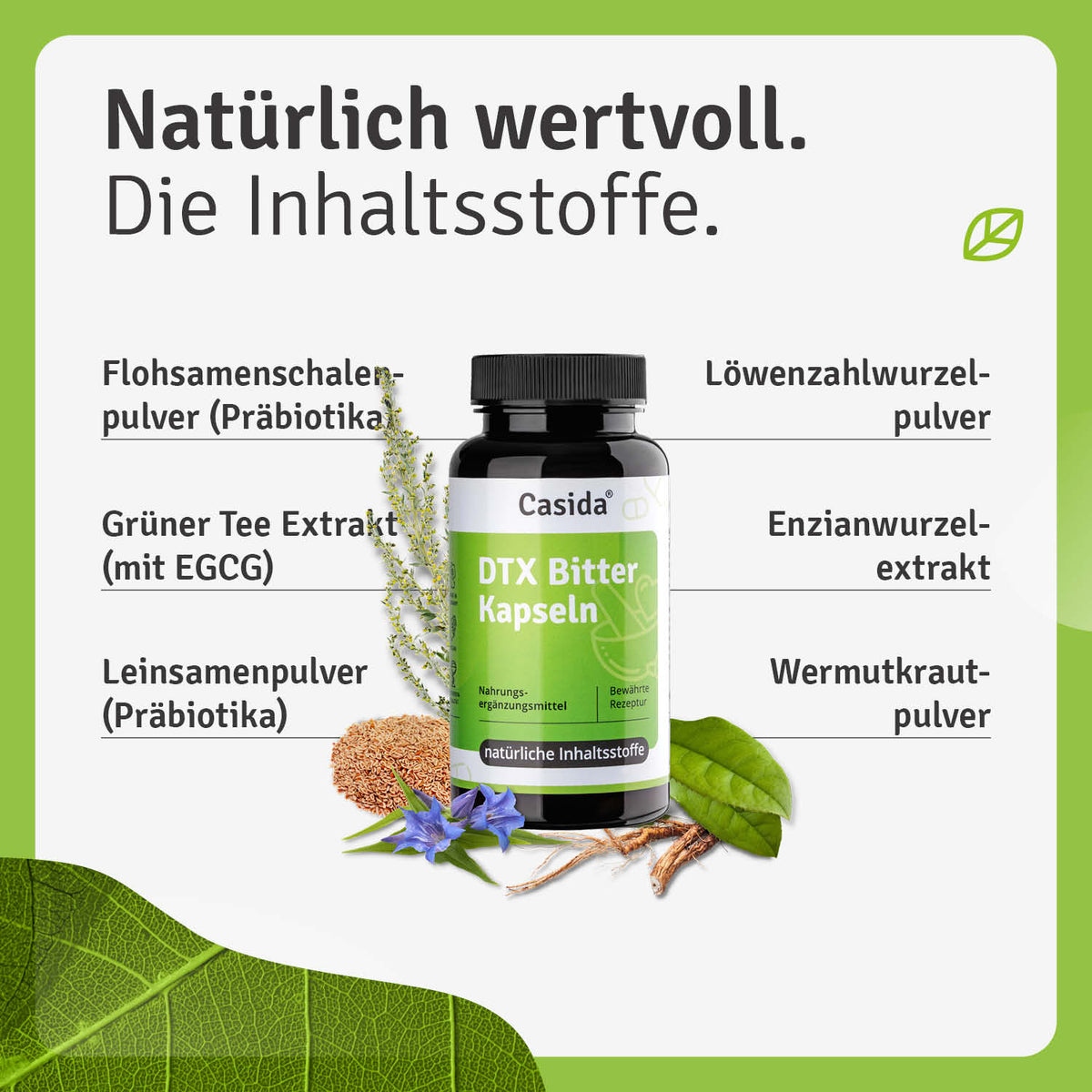 DTX Bitter Kapseln Inhalt