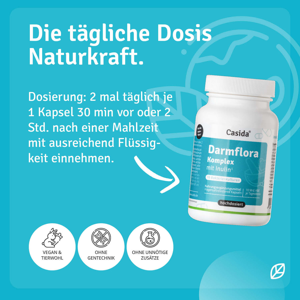 Darmflora Komplex mit Inulin Anwendung