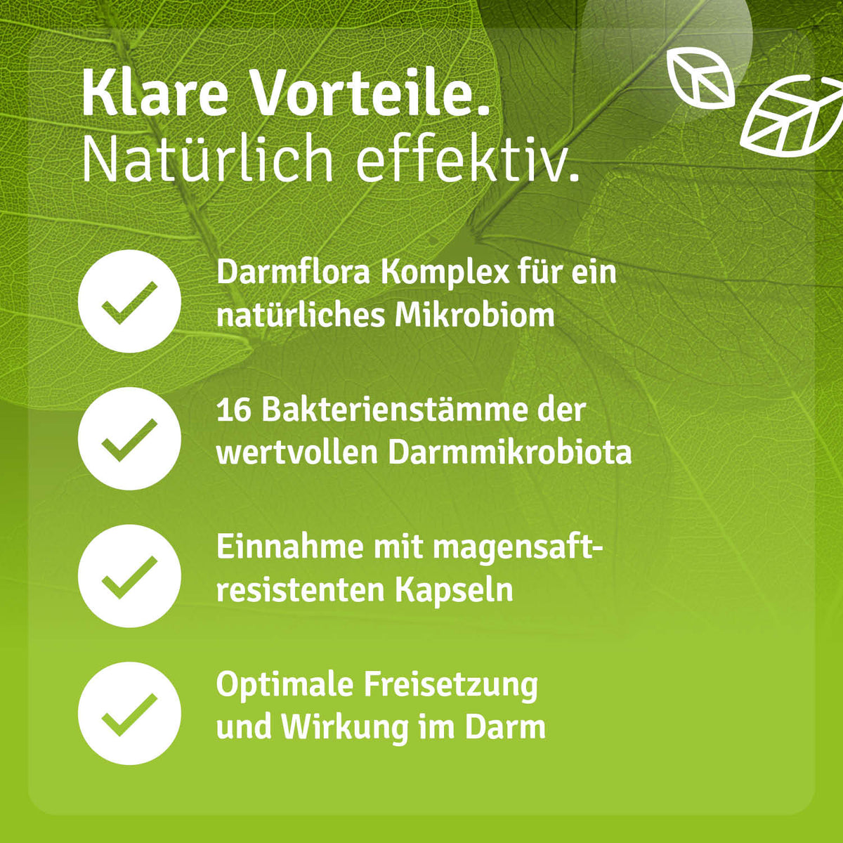 Darmflora Komplex mit Inulin Vorteile