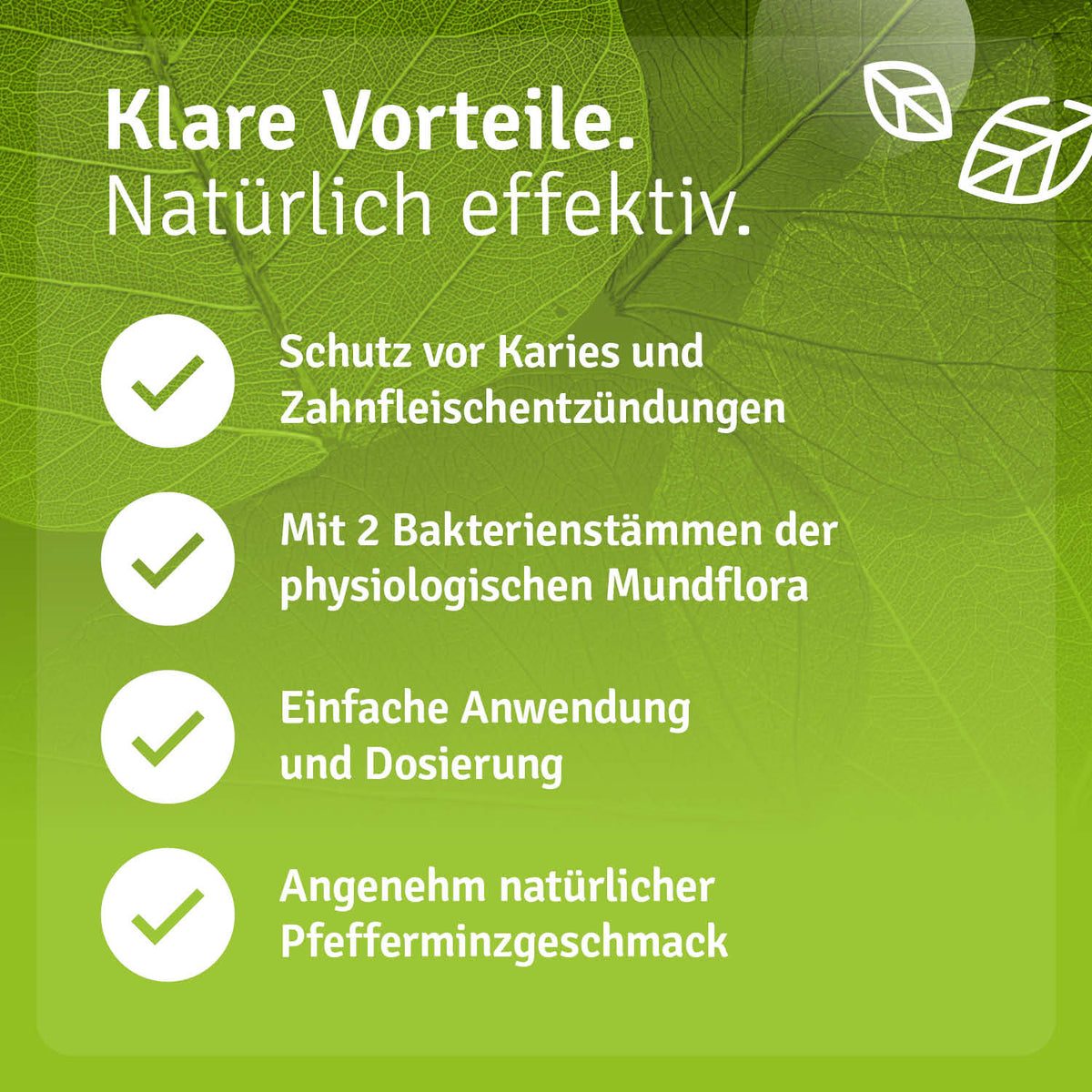 Dental Protect Zahnpulver Vorteile