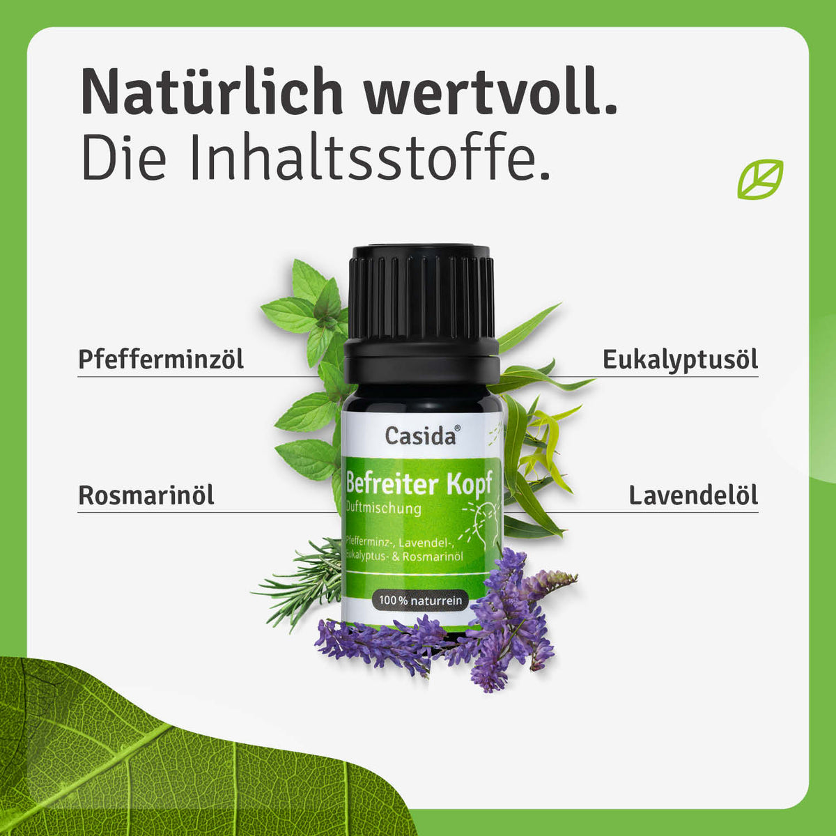Duftmischung Befreiter Kopf Inhalt