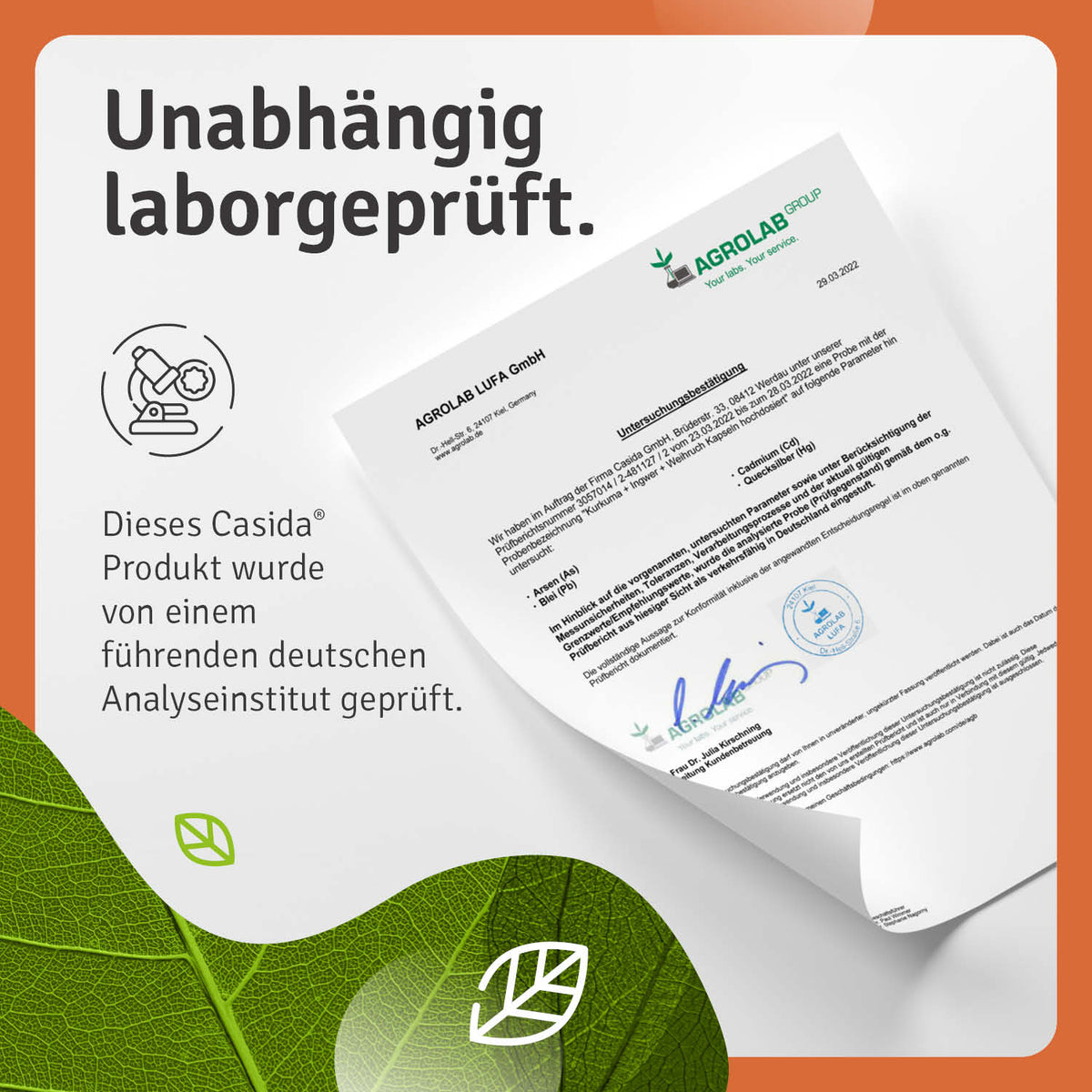 Kurkuma – Ingwer – Weihrauch Kapseln laborgeprüft
