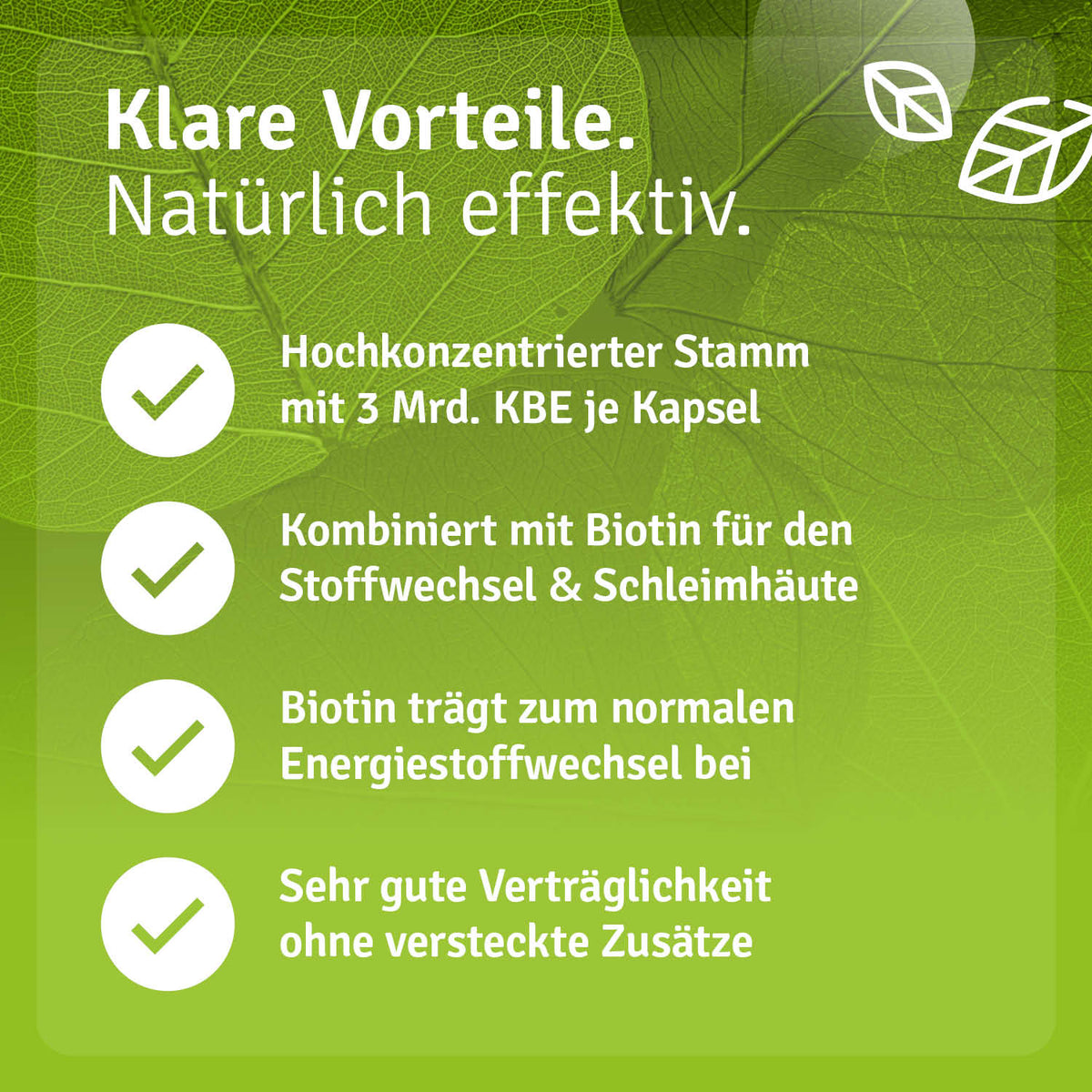 Lactobacillus Gasseri Vorteile