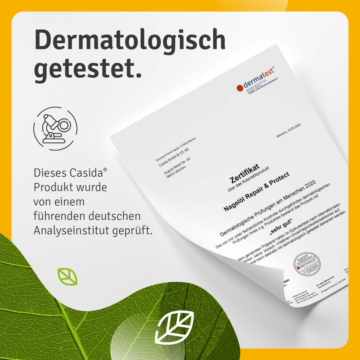 Casida Repair & Protect foot care complete set with certification document and green leaf design background.