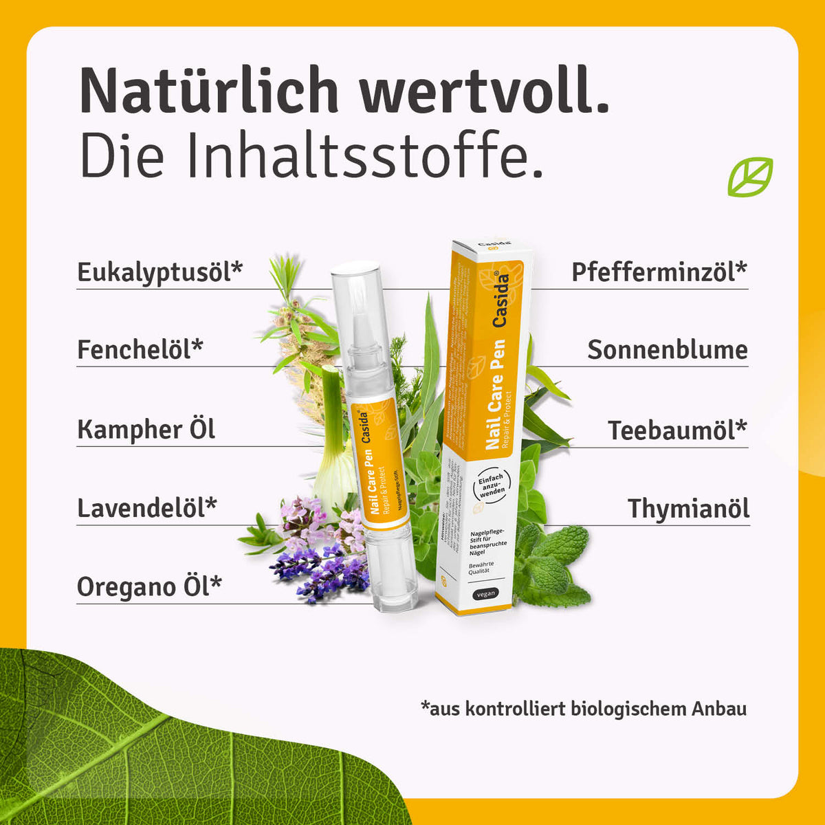 Inhaltsstoffübersicht des Casida Nail Care Pen mit Pflanzenmotiven und enthaltenen Ölen