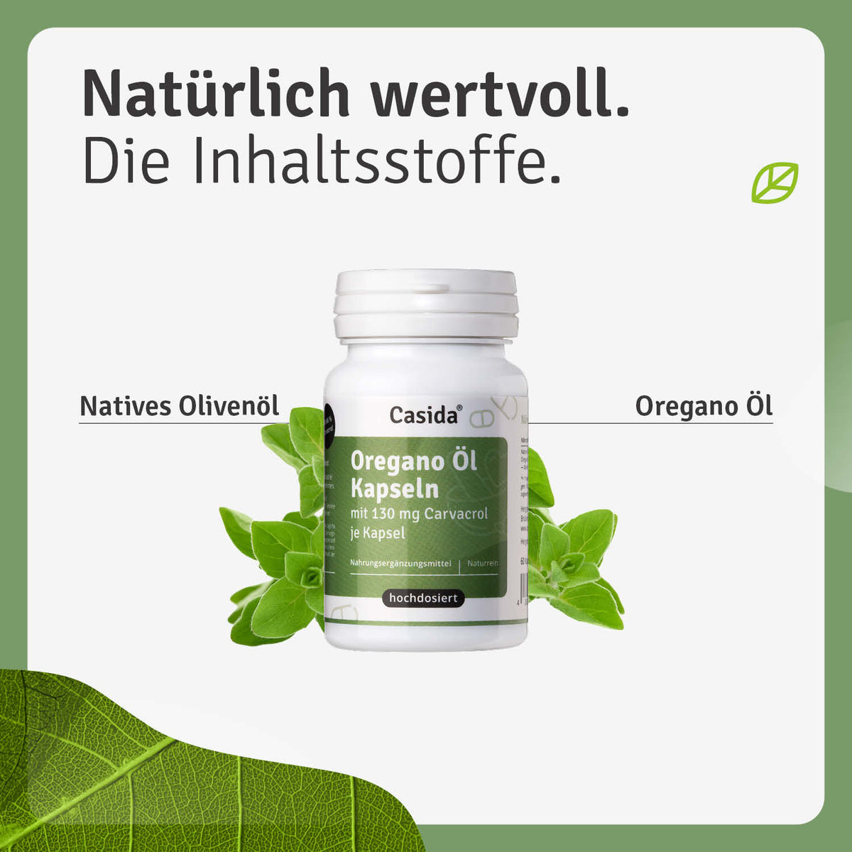 Oregano Öl Kapseln Inhalt