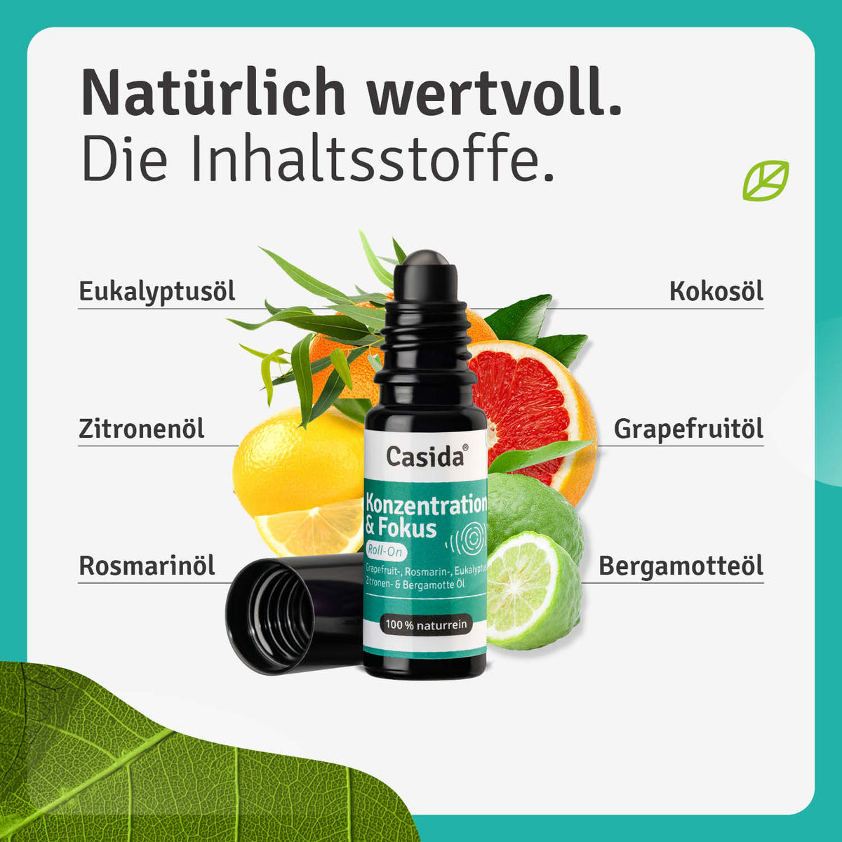 Konzentration & Fokus Roll-On Inhalt