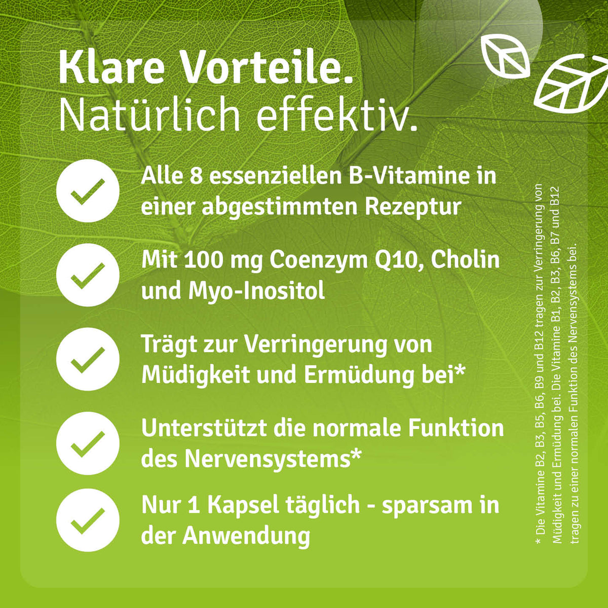 Infografik zu Casida Vitamin B Komplex mit acht B-Vitaminen, Coenzym Q10, Cholin und Myo-Inositol