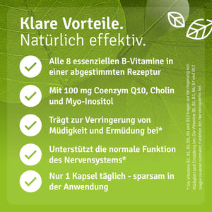 Infografik zu Casida Vitamin B Komplex mit acht B-Vitaminen, Coenzym Q10, Cholin und Myo-Inositol