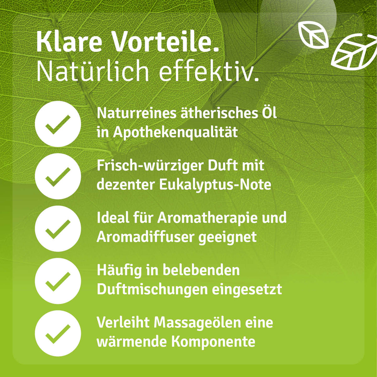 Infografik zu Duft und Einsatzgebieten von Casida Myrtenöl