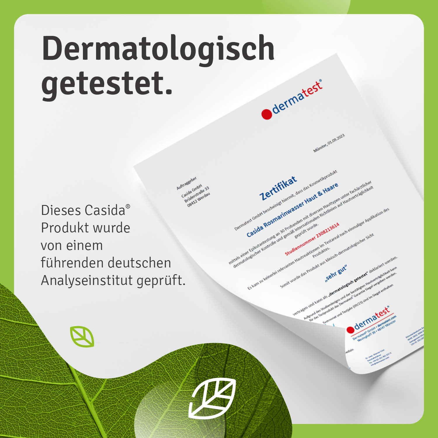 Rosmarin Haarkur Haarausfall Rosmarin Shampoo mit Biotin Rosmarinwasser Rosmarinöl Dermatest