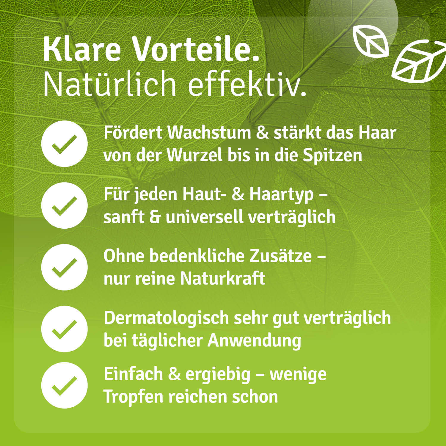 Rosmarin Haarkur Haarausfall Rosmarin Shampoo mit Biotin Rosmarinwasser Rosmarinöl Rosmarin Haarkur Haarausfall Rosmarin Shampoo mit Biotin Rosmarinwasser Rosmarinöl Vorteile