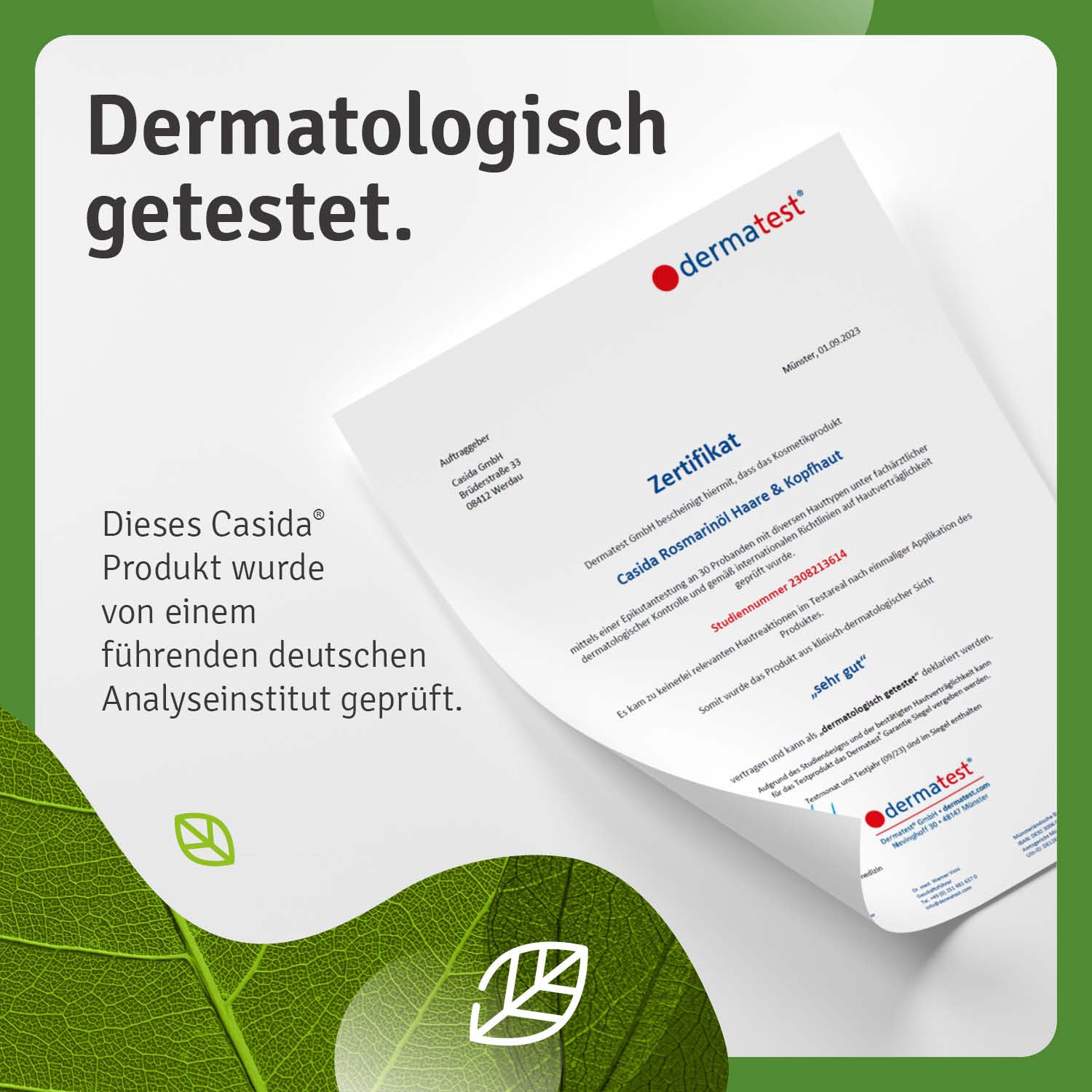 Casida Rosmarin Haarkur set with a certification document on a green leaf background, indicating dermatological testing.