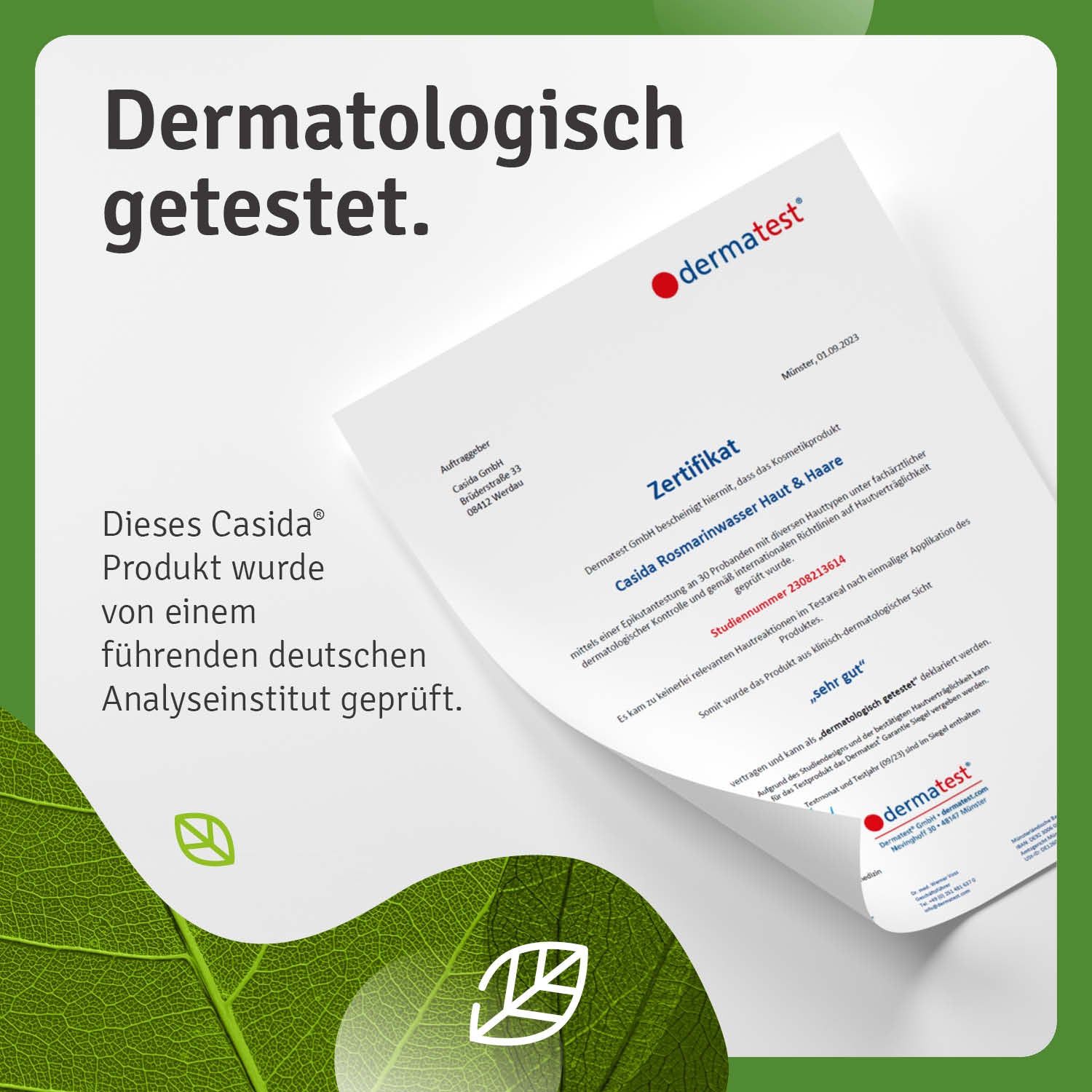 Casida Rosmarin Haarkur set with a certification document, featuring green leaf design and dermatological testing details.