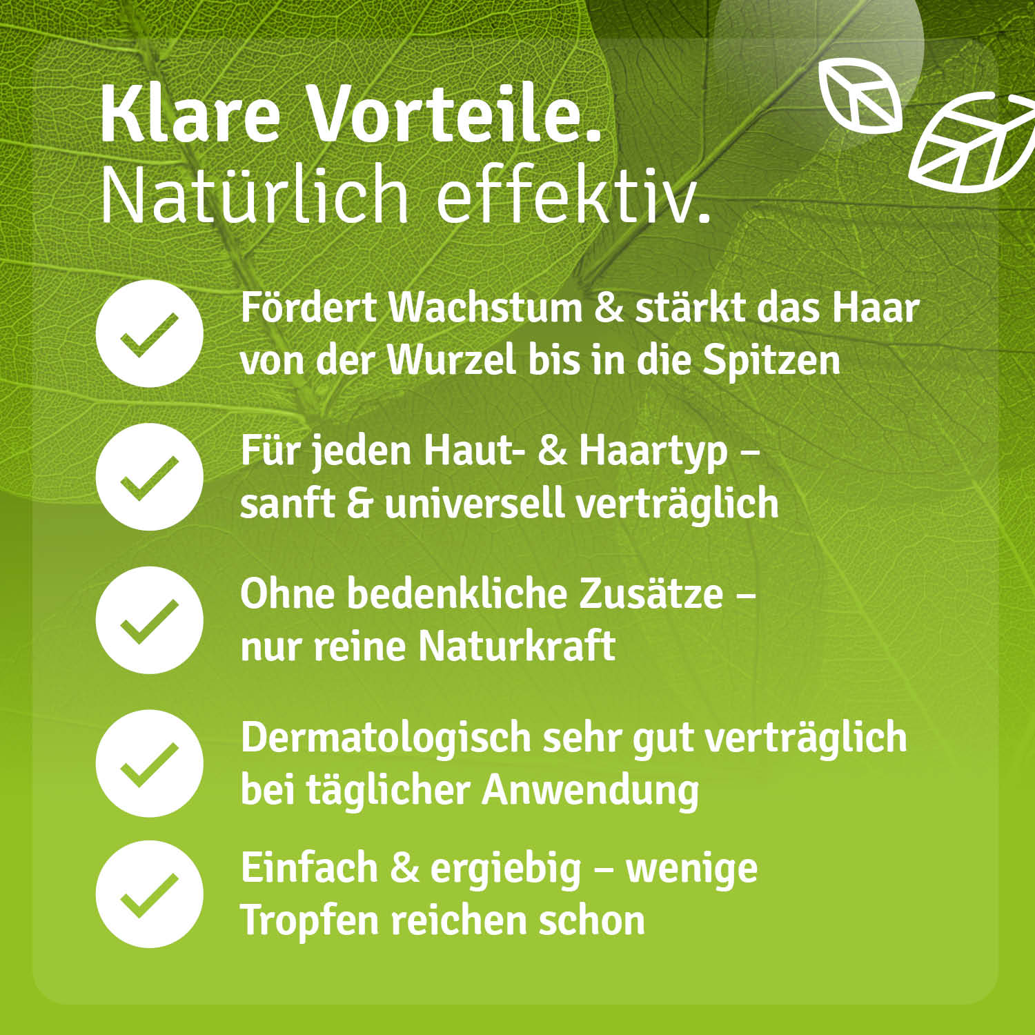Casida Rosmarin Haarkur set with green packaging, highlighting benefits for hair growth and scalp health.