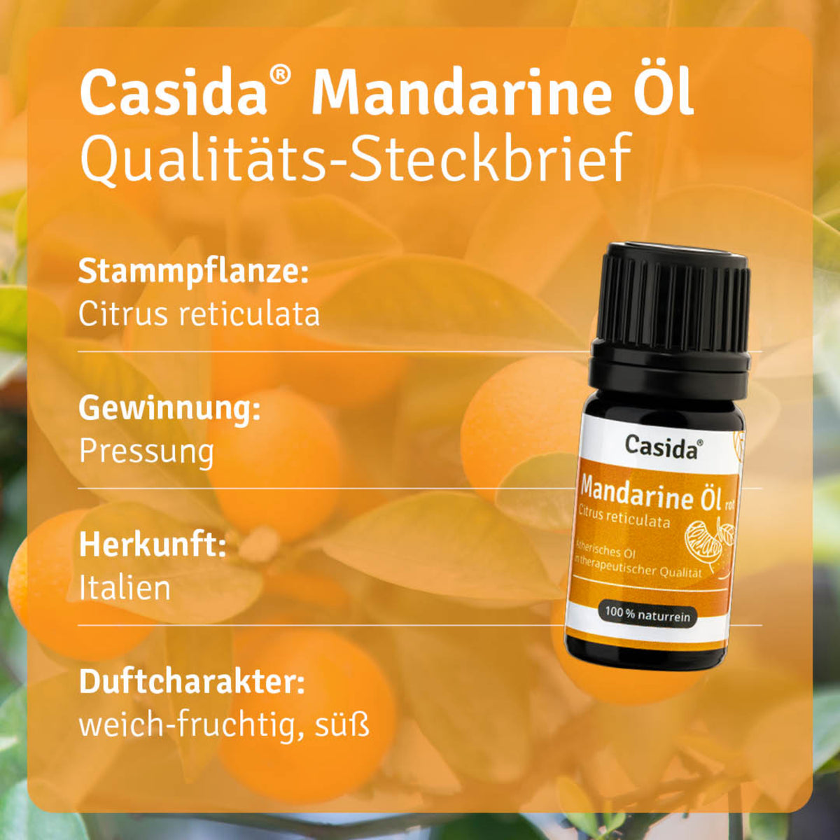 Mandarine Öl rot Pflanze