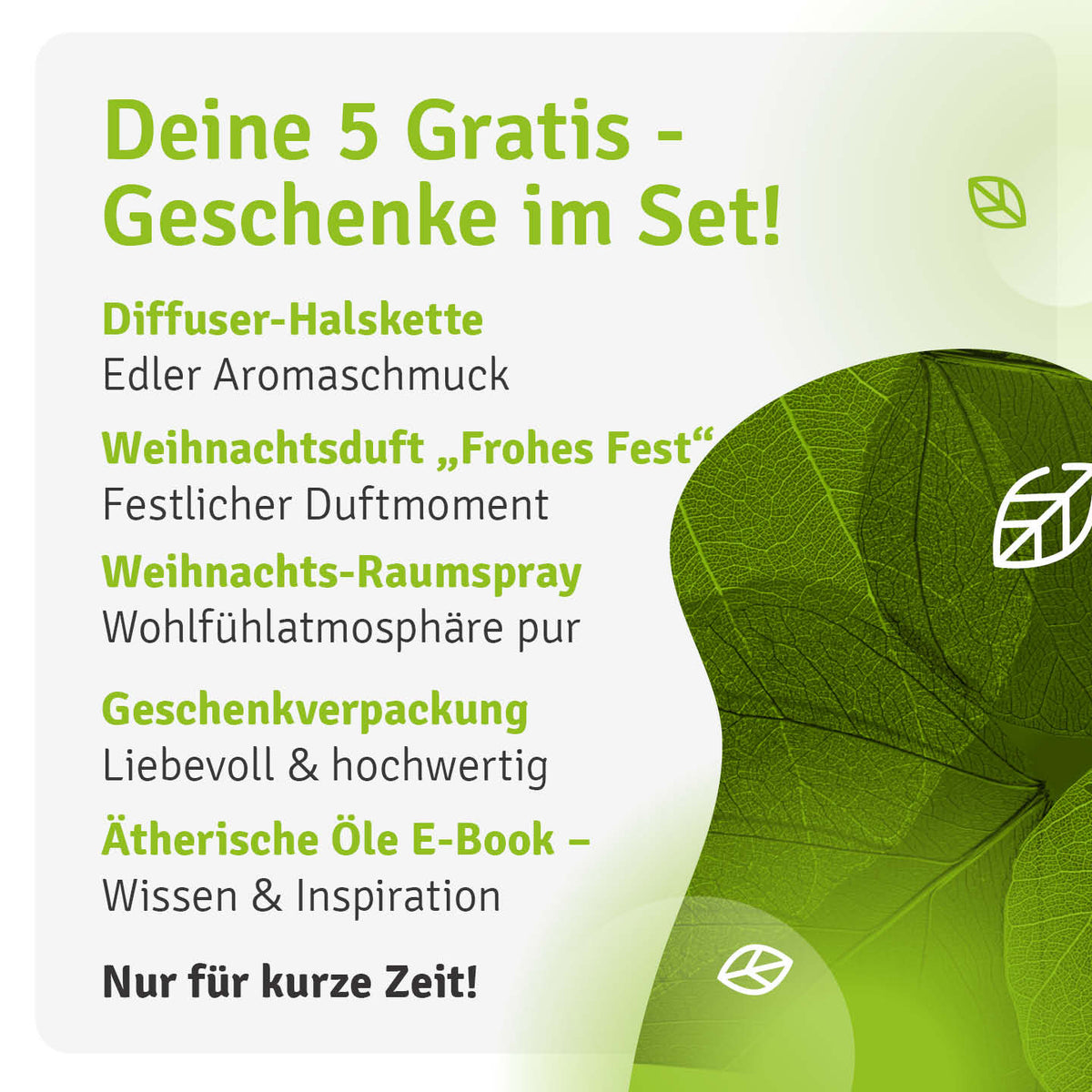 Übersicht der Geschenkextras zum Casida Aroma-Erlebnis-Set: Halskette, Duft, Spray, Verpackung und E-Book