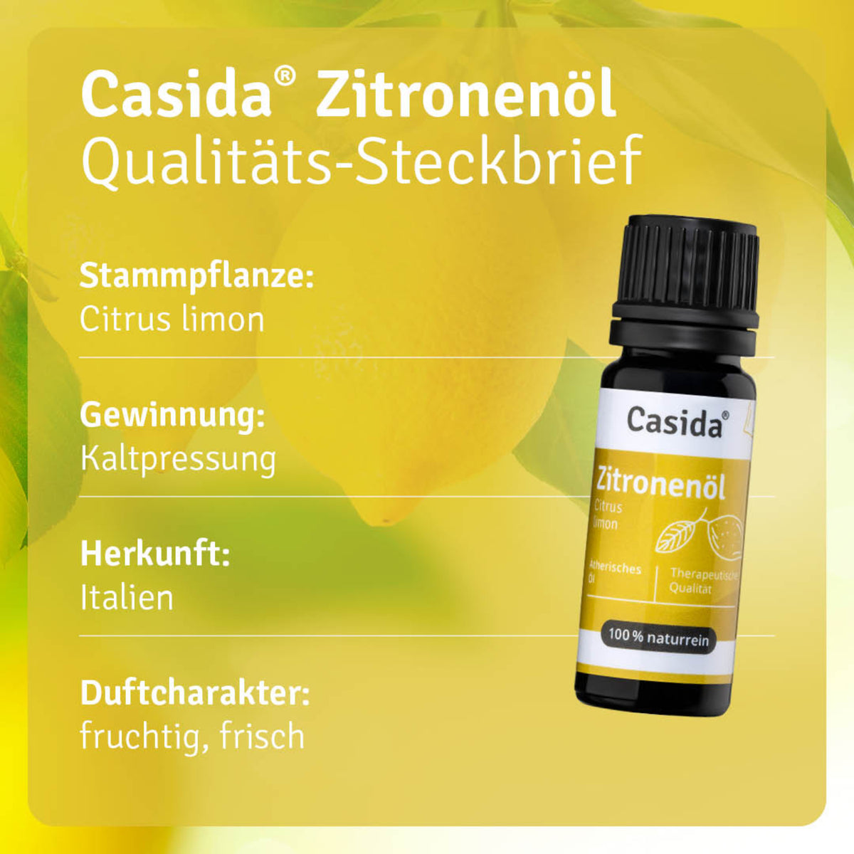 Zitronenöl Pflanze
