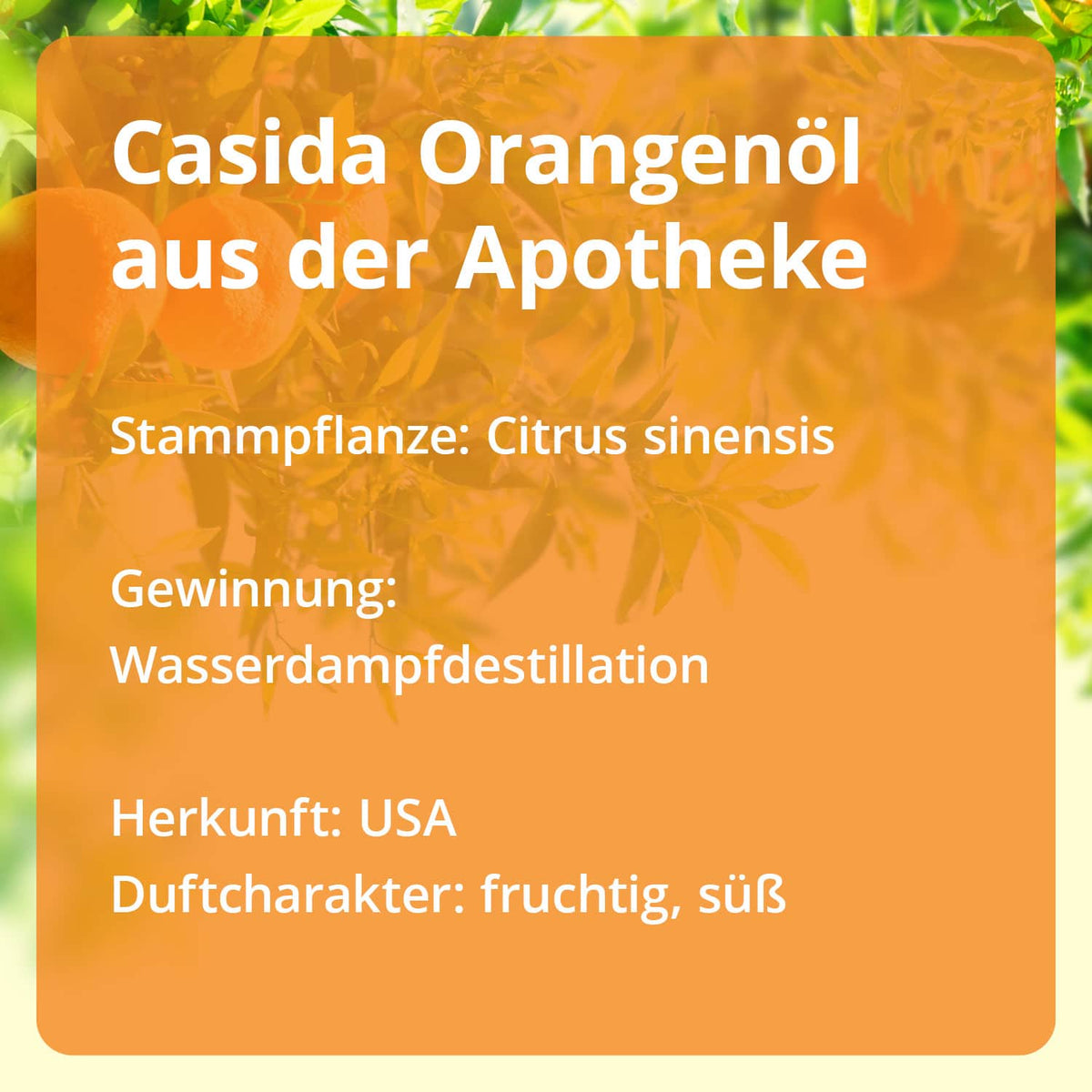 Zitrusöle Set - Ätherische Öle Set mit Zitrone, Orange & Grapefruit